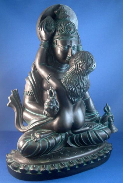 Shiva Shakti in union