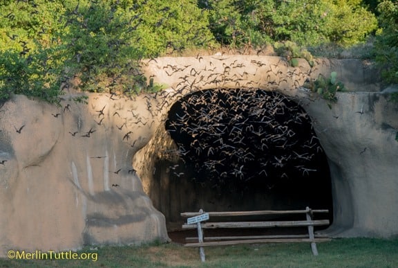 batcave